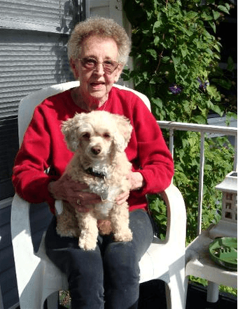 Anne  A. Waterhouse Obituary