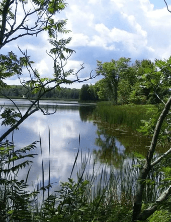 Michele Yvonne Elder Obituary